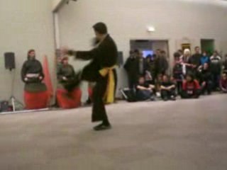 TGS 2008 Demo arts martiaux  Le Tigre