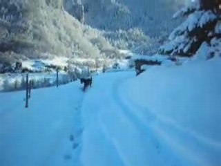 Urz&bal ds la neige