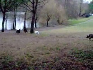 Course poursuite (la suite)