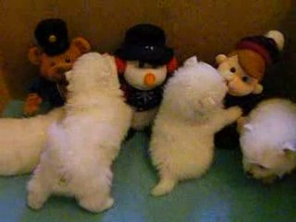 Bébés de Gloria Les peluches qui chantent