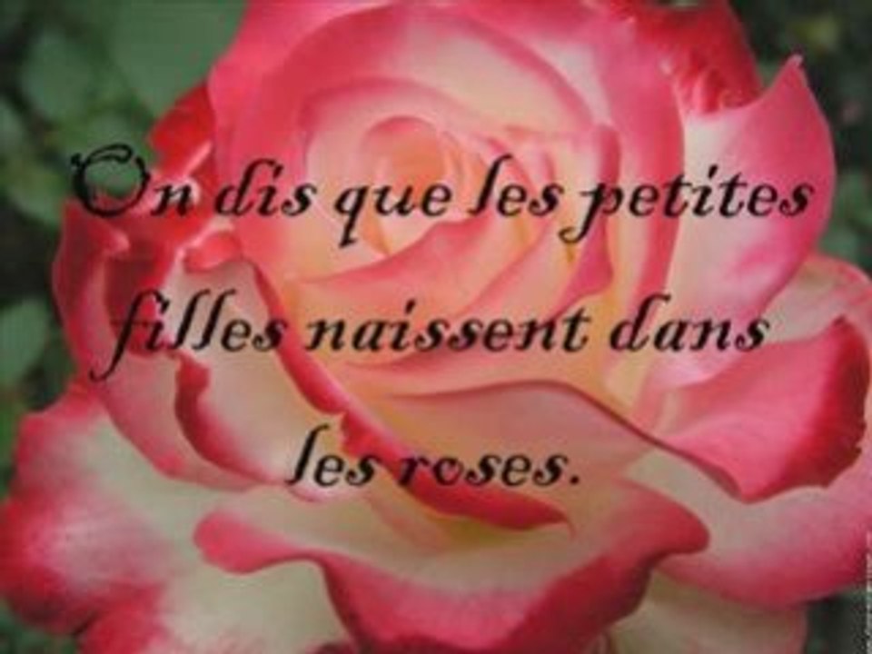 Mon Aude