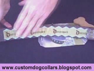 Personalized Dog Collars – Personalized Collar For Your Dog