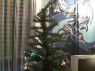 Sapin de Noyel 12-08