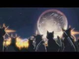 Neko no shuukai - Makoto Shinkai