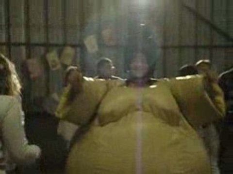 Les meilleurs sumos XD