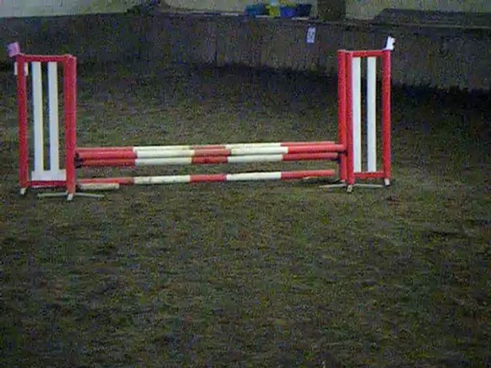 Vidéos & photo d'huchepie 037