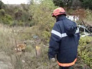 Banz'haï des plaines du minervois décombre