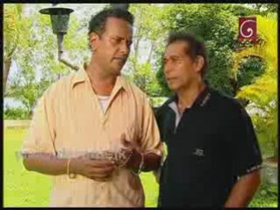 SARA - 165 - (05-12-2008)