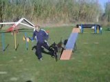 Asdey des plaines du minervois agility