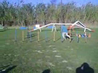 Alu des plaines du minervois agility