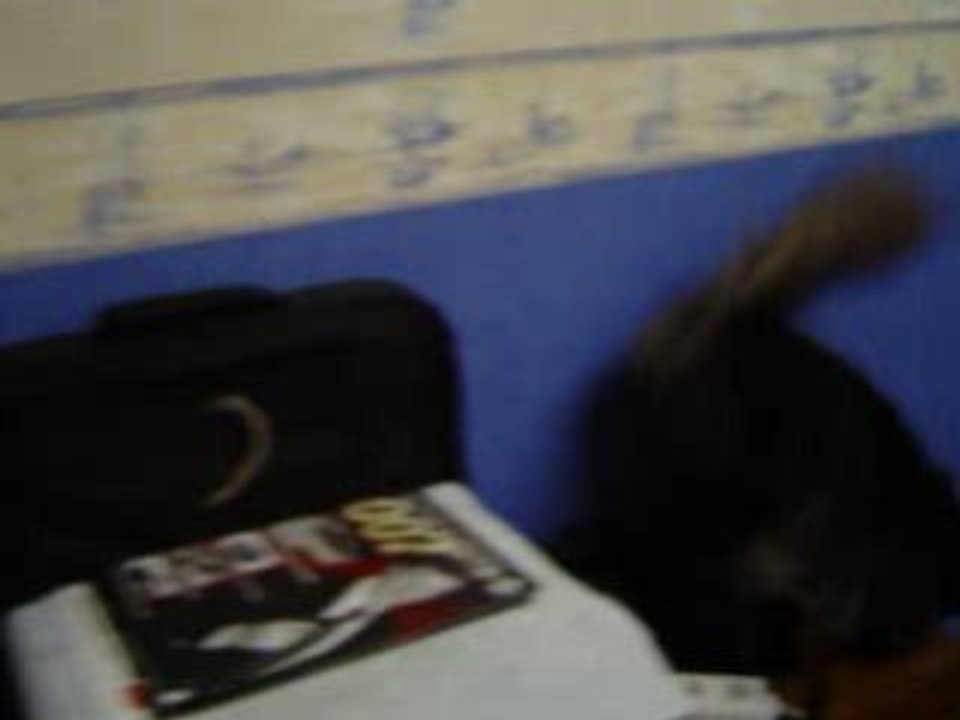 Néfertiti ' s adventure