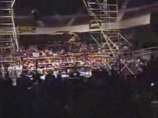 ECW Crazy Fall