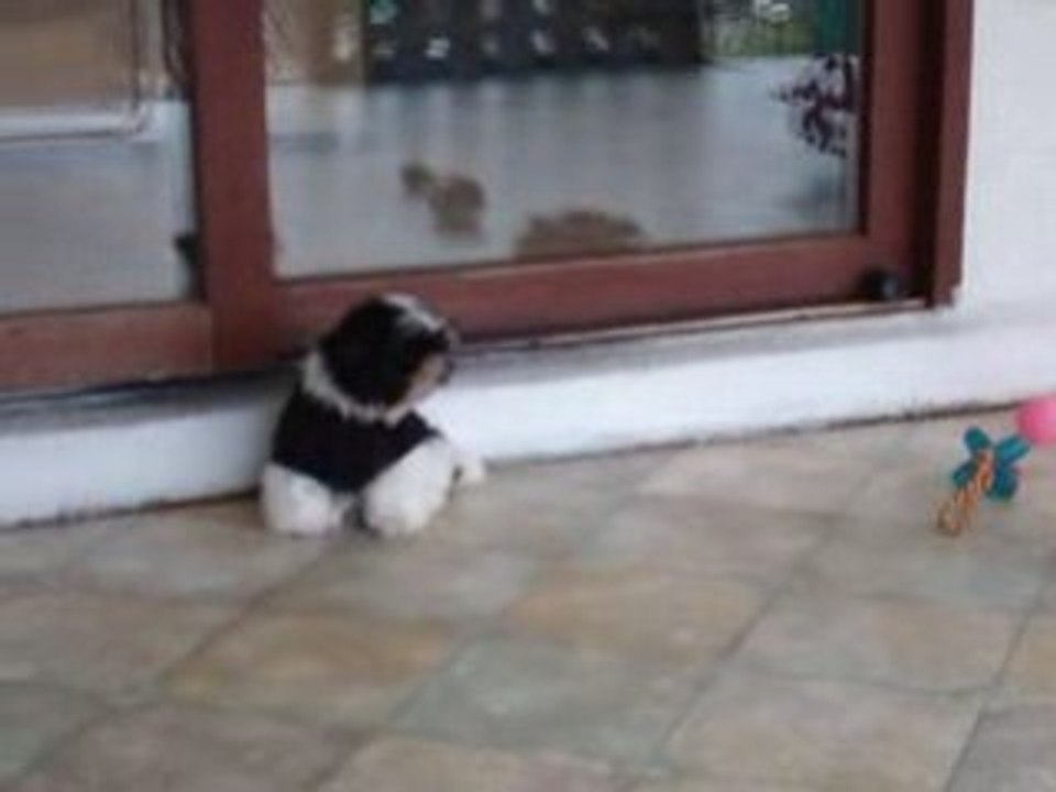 Vidéo 078