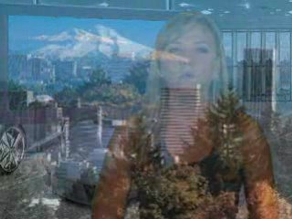 Nissan to Sell Pure Electric Vehicles by 2010