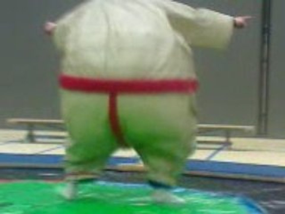 sumo fight