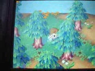 ACWW - Ville fleurie