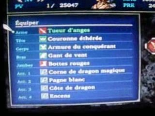 VP2S Plus de 9 999 999 dégâts ??? (Zenislev)