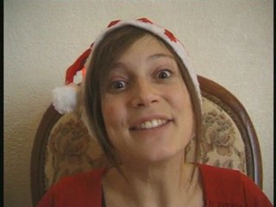 Chat minou 17 "Chat peint d'noël !"