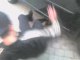 Regarder Riorges beatch 42i. sur DailyMotion.com