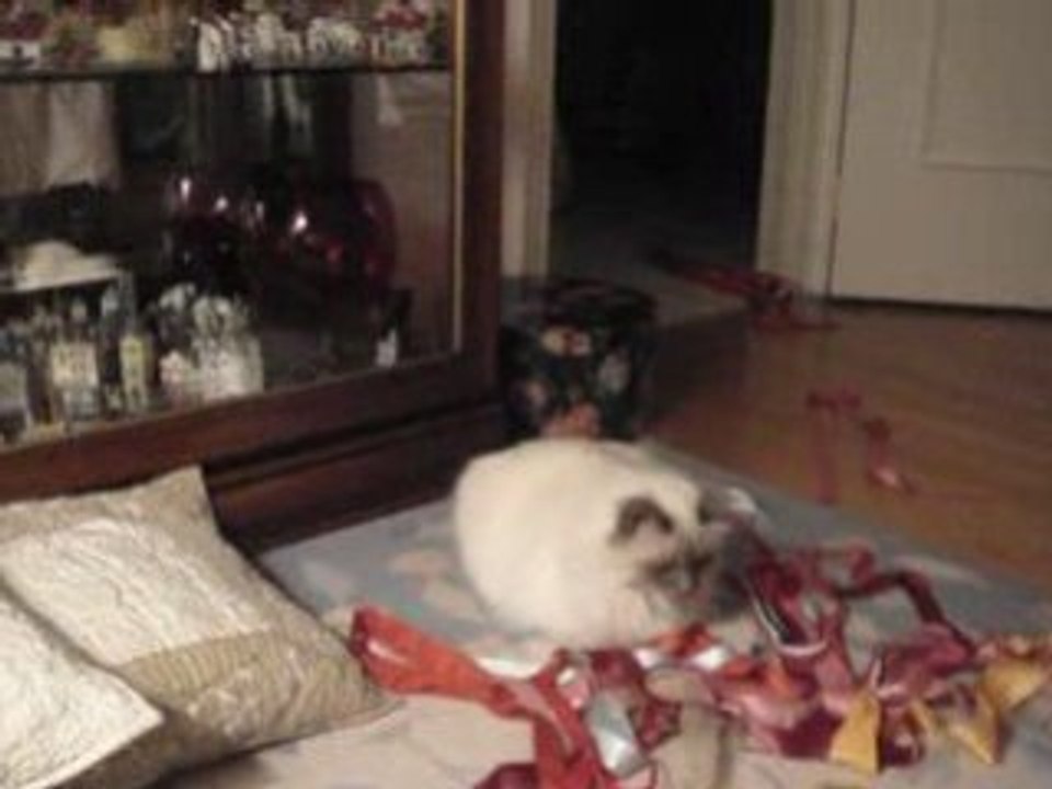 YOTA NE VEUT PLUS JOUER