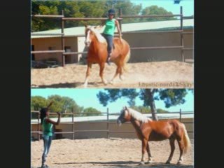 Montage les filles naiade, jarny, hidalgo et loustic