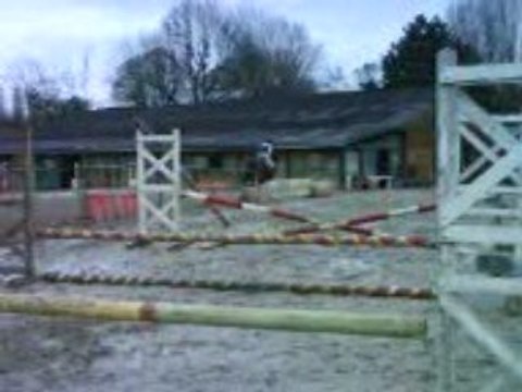 écurie d'auvers sur oise saut de puces