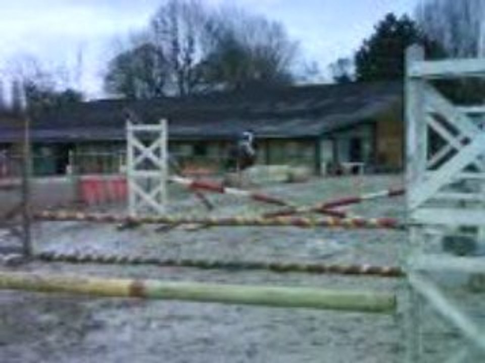 écurie d'auvers sur oise saut de puces