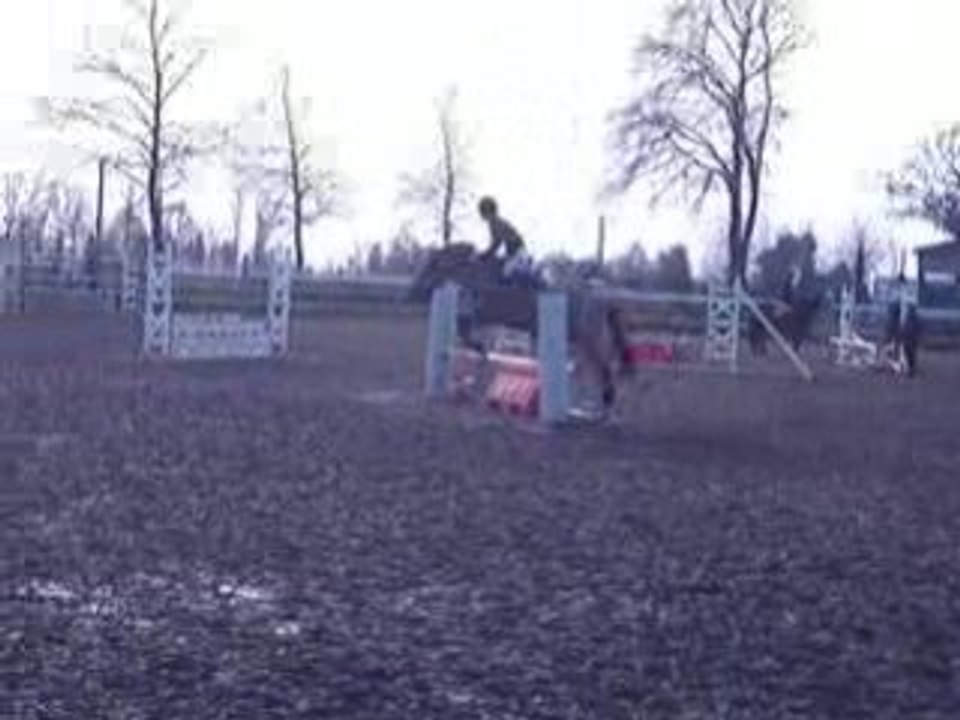 Séance de sauts avec Homer !