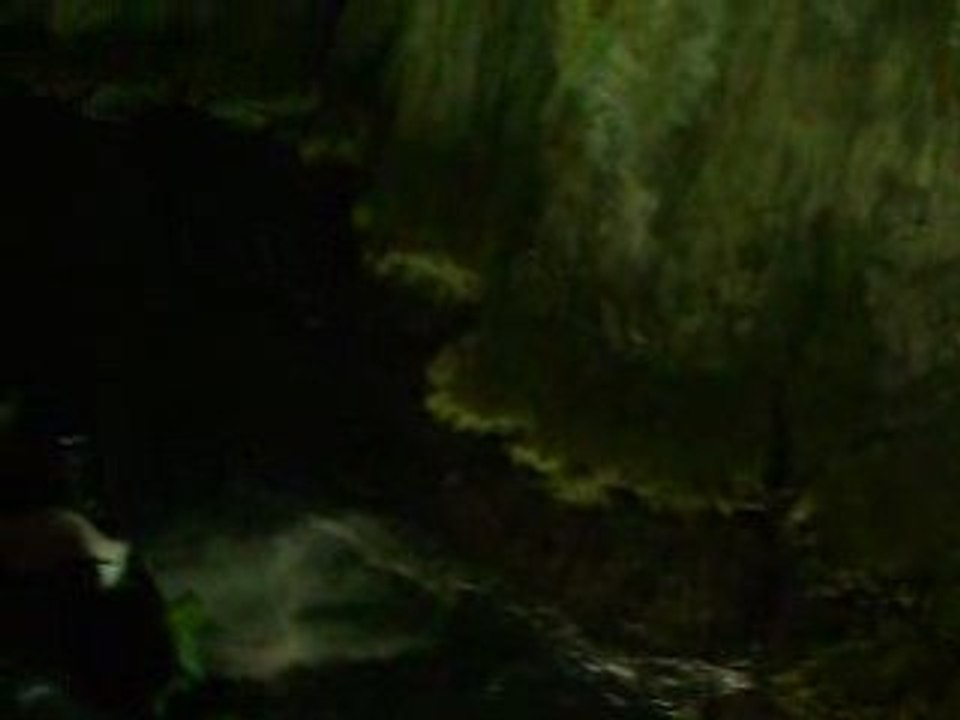MOV03848