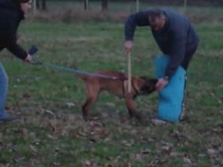 Diuke débourrage mordant