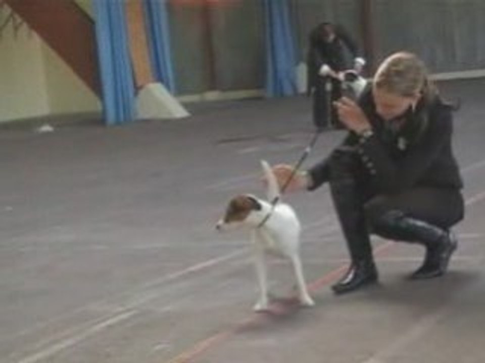 02 02 08 expo Chalons en Champagne  préparation