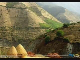 COMPIL TAMJA RIF (Gasba)