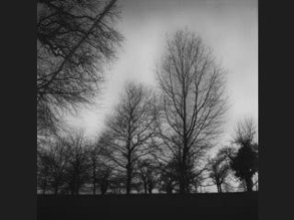 Sourate  At-takâthur - La supériorité numérique