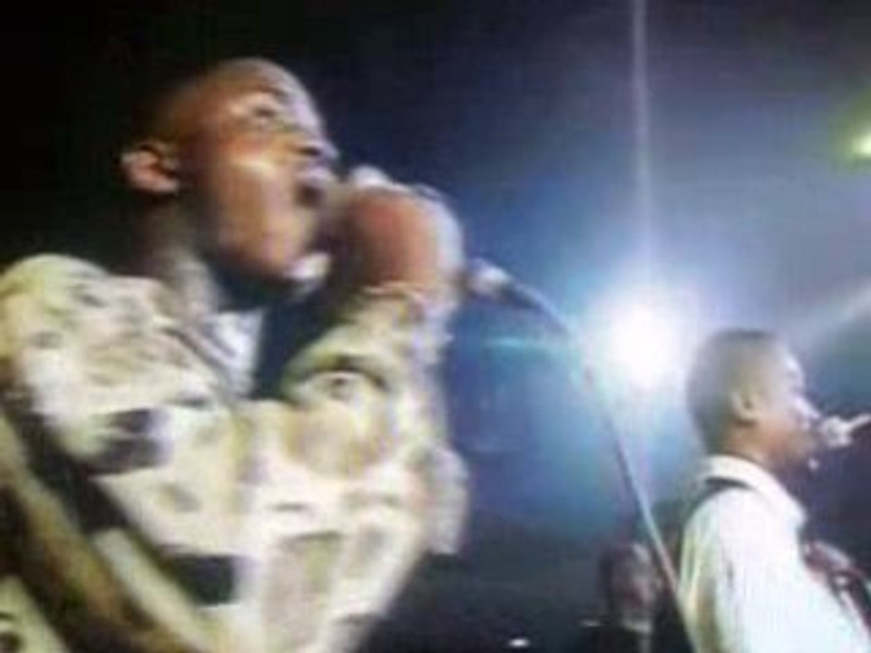 WENGE MUSICA BCBG " GINO"