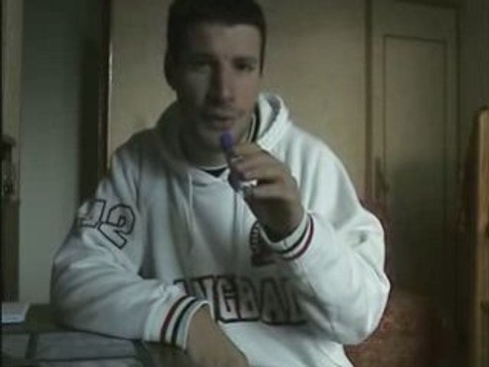 Parodie tu gerbera (2)