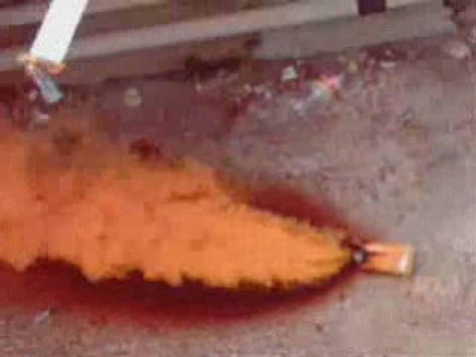 Rca vs Est (Ultras Eagles)