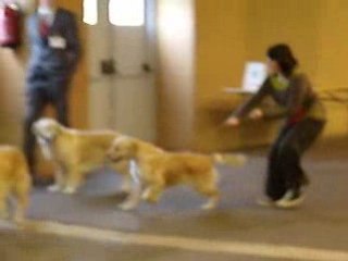 Loola : expo rouen 2008