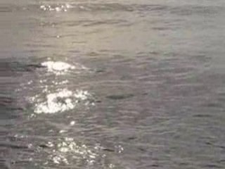 Mer et kirie eleison