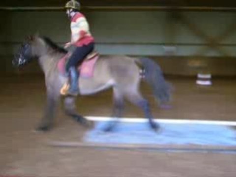 Défi : Passer sur une bache au trot - Clémentine et Idahna -