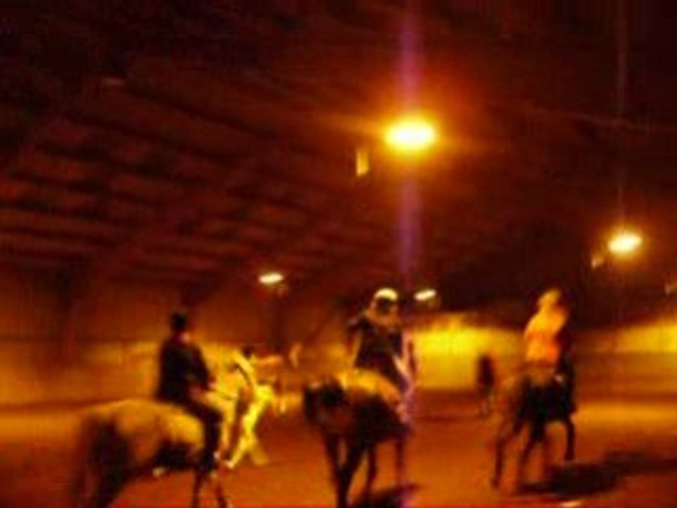 Séance de Horse Ball