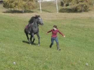 Ravageur balade en main monté et lachés octobre