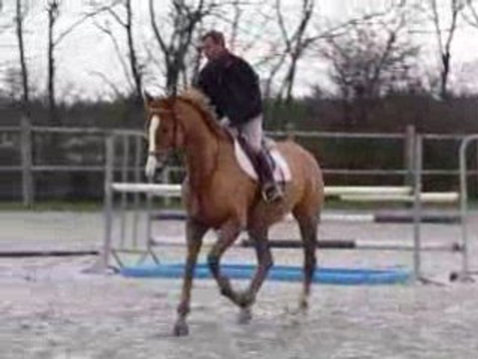 Quita 6-12-08 7