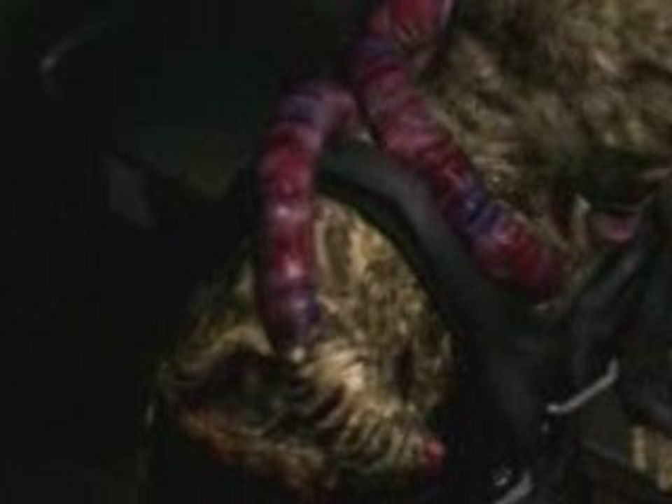 Nemesis vs mickail