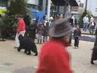 Telethon 2008 Samedi 06