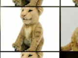 WowWee Alive Lion Cubs Plush Robotic Toys in Tan, Great Toy!