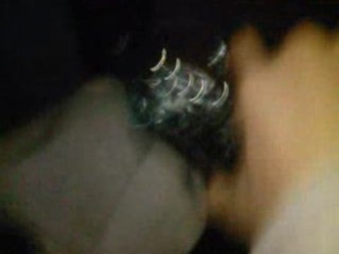 Suite et Fin du 06 Décembre 2008