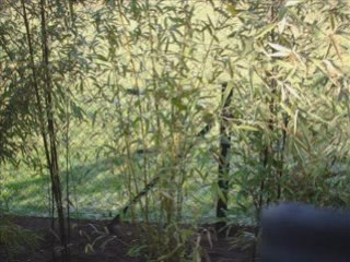 mon premier gros chantier