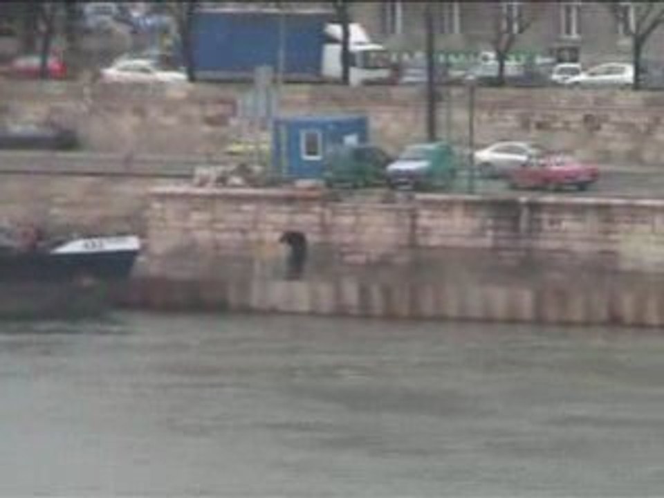 Budapest - Pollution du Danube depuis le pont