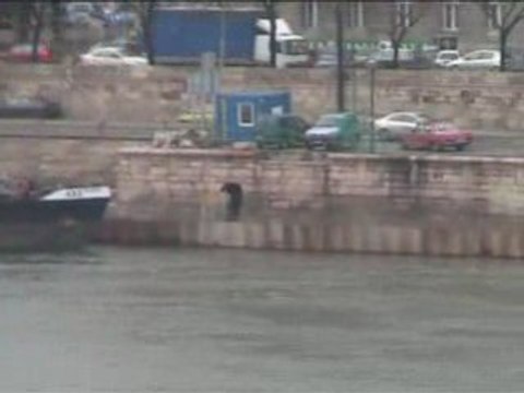Budapest - Pollution du Danube depuis le pont