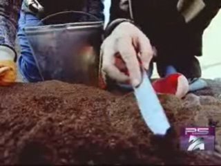 P.S - arqeologiuri agmochena - ch-celt-agri me-7 saukune